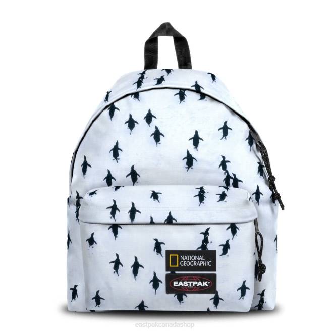 Padded Pak'r Ng PeNg uin Eastpak Backpacks 662J7