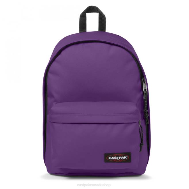 Out Of Office Pure Purple Eastpak Backpacks 662J42