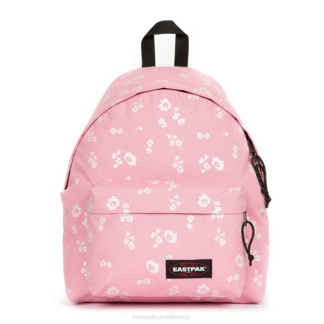Padded Pak'r Flower Shine Pink Eastpak Backpacks 662J141