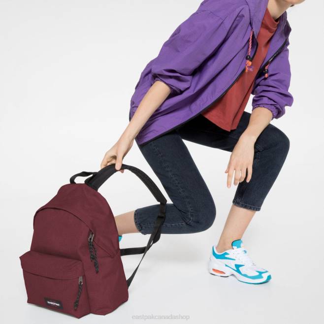 Padded Pak'r Crafty Wine Eastpak Backpacks 662J102