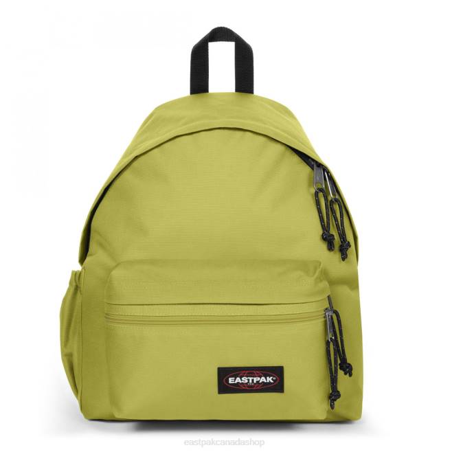 Padded Zippl'R + Linked Lime Eastpak Backpacks 662J41