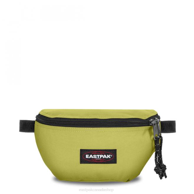 Springer Linked Lime Eastpak Bags 662J325