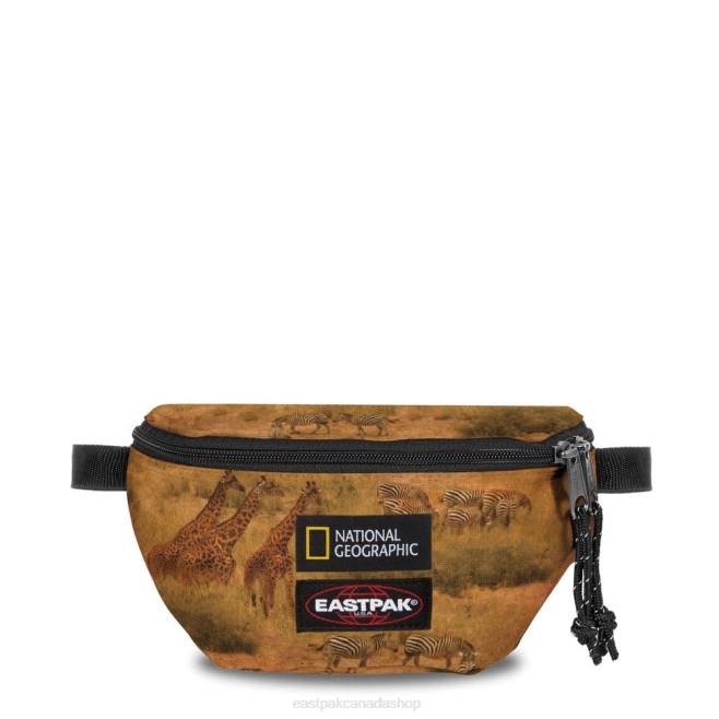 Springer Ng Giraffe Eastpak Shoulder Bags 662J270